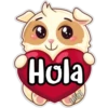 Hola
miyi