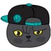 Кошачьи смайлики 8