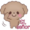 Hello, Choco 13