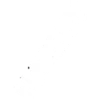 something 17