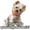 ️StickersVarios(2) 19