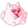 Pomeranian Princess 9
