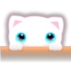 White kitty 15