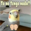 cachorros salvajes 20