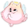 Pomeranian Princess 10