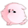 Pomeranian Princess 11
