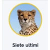 secondo te non sono cose a caz 17