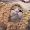 1628