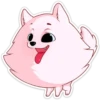 Pomeranian Princess 13