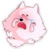Pomeranian Princess 14