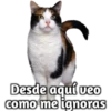 ️StickersVarios(2) 23