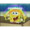 sembang
22
TO
