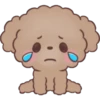 Hello, Choco 18