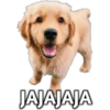 ️StickersVarios(2) 25