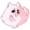 Pomeranian Princess 15
