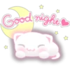 White kitty 24
