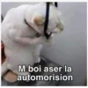 andy 2 25