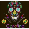 wire
888888888
60
xffffff
Carolina