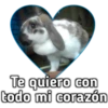 Te quiero con
todo mi corazón