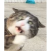 hygfd 25