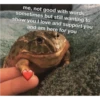 frög 19
