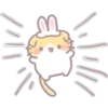 Scottish Rabbit (Classic) 22