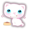 White kitty 28