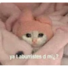 ya t aburristes d mi ?