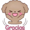 Hello, Choco 24