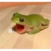 frög 21