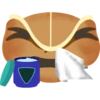Coquímoji 30