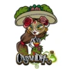 ASANDRA