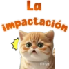 🐱Lindo michi🐱 2