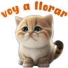 🐱Lindo michi🐱 4