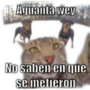 Aguanta wey
No saben en que
se metieron
