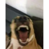 asdfg 5