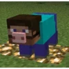 Minecraft 8