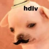 hdlv