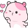 KIKI HAMSTER 6
