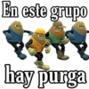En este grupo
Jan Omer
30
hay purga