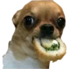 Animaizinhos dogs 5
