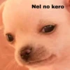 Nel no kero