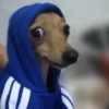 Animaizinhos dogs 6