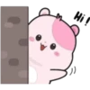 KIKI HAMSTER 9