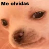 Me olvidas