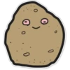 POTATO#1 10