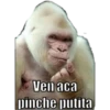 Ven aca
pinche putita
