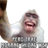 PERO TRAE
MORRAS CHIDAS WEY