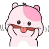 KIKI HAMSTER 11