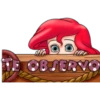 TE OBSERV